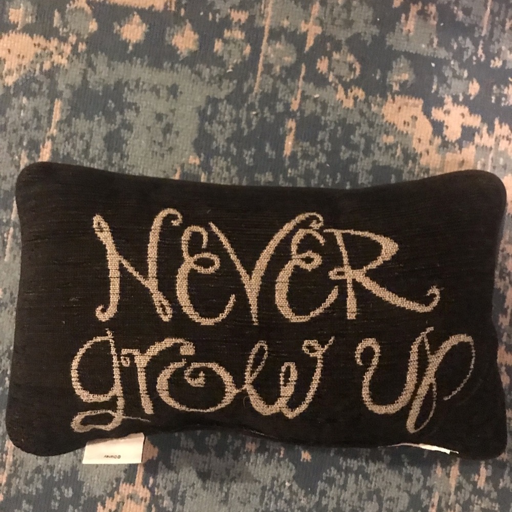Disneyland decorative pillow